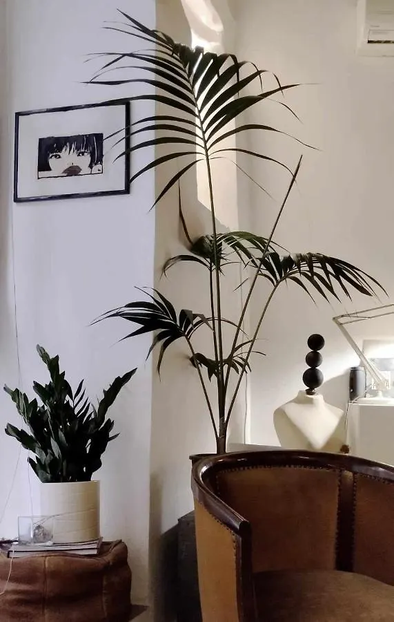 Apartment Bucrani Studio. Piccolo Loft Nel Centro Storico Di Palermo