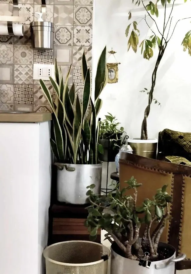 Bucrani Studio. Piccolo Loft Nel Centro Storico Di Palermo 0*,